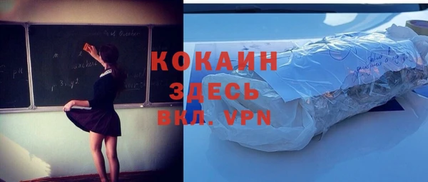 ПСИЛОЦИБИНОВЫЕ ГРИБЫ Абаза