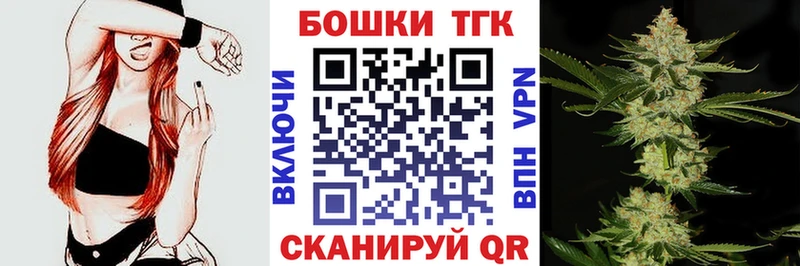 закладка  Галич  Бошки Шишки ГИДРОПОН 